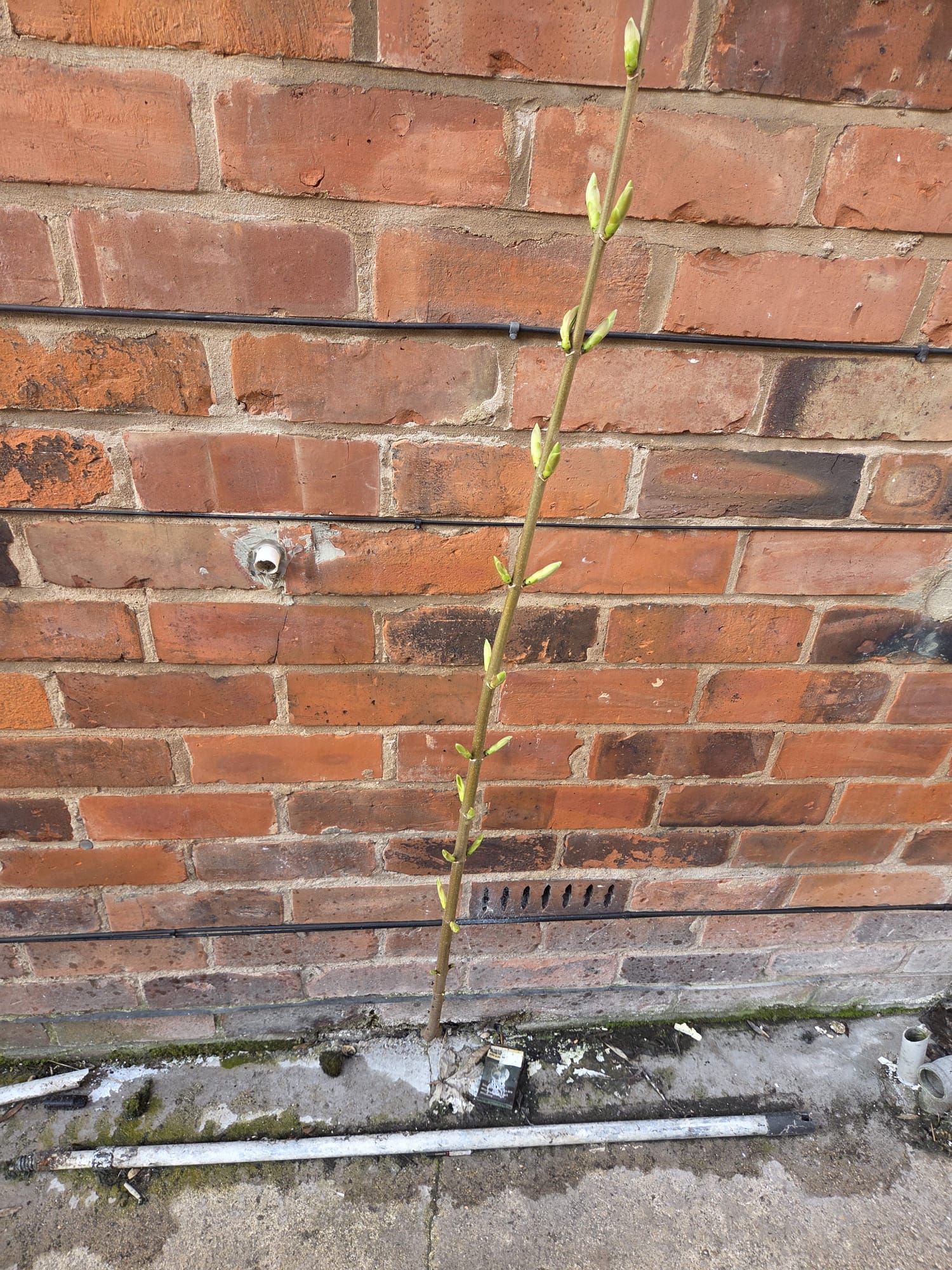 Block of 4 Flats Hull HU5 Ref:0442 - Image 16