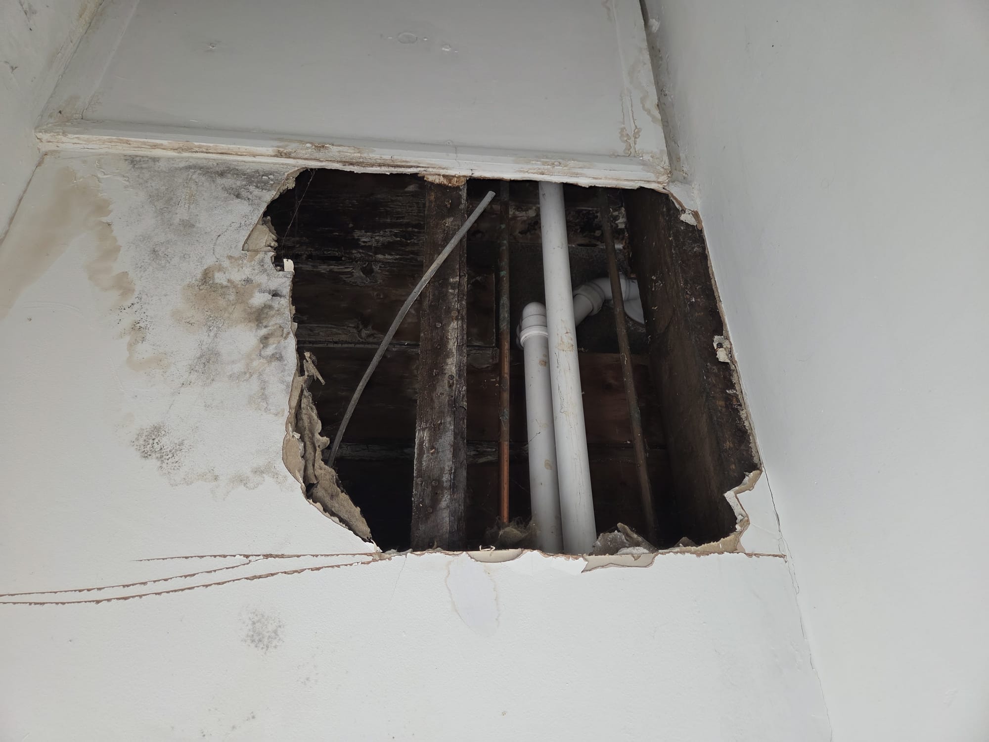 Block of 4 Flats Hull HU5 Ref:0442 - Image 17