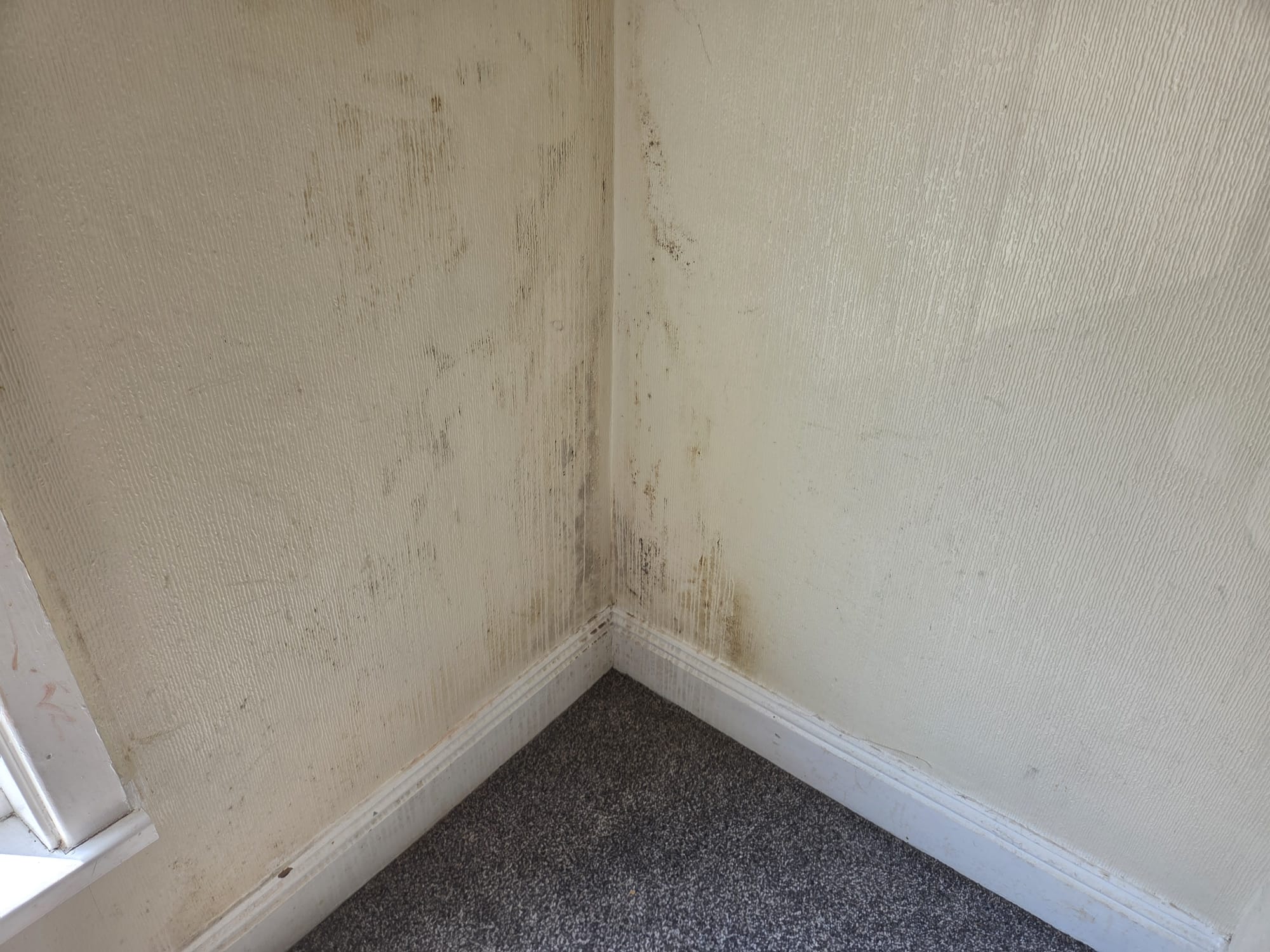 Large 2 Bed BTL Hull HU5 Ref:0458 - Image 36